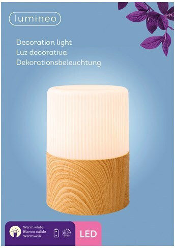Kaemingk Decorative Lighting LED Warm White 15x15x21cm