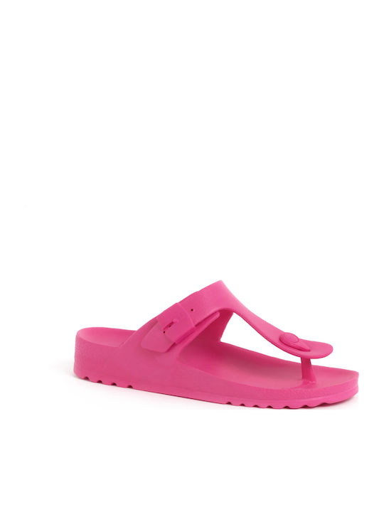 Scholl