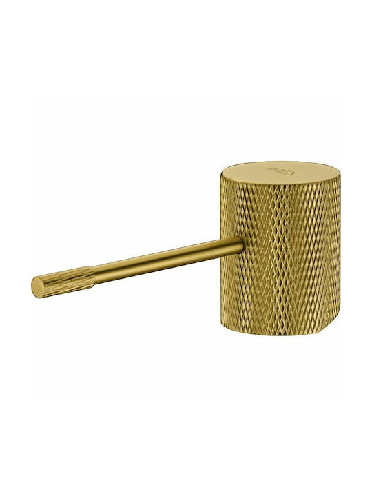 Imex 13459 Built-in Mixer & Shower Head Set for Shower 2 Exits Gold