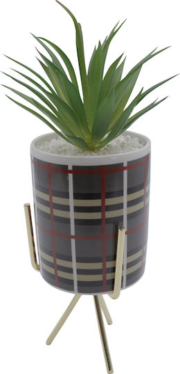 Sukkulente Pflanze in Topf Grau 25cm Uncle George