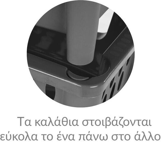 Homeplast Carina Кошница за съхранение Пластмаса Grey 49x34x25см 1бр