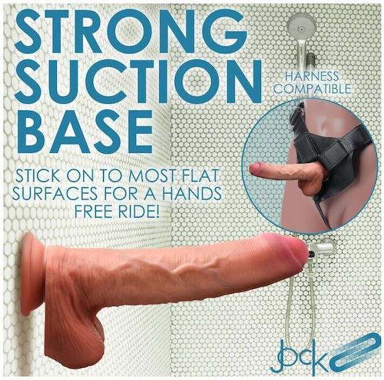 Chisa Novelties Realistic Dildo with Balls and Suction Cup Flesh 25cm