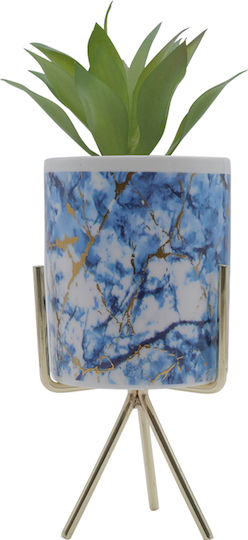 Sukkulente Pflanze in Topf 26cm 05.02.04-0003-Blau Uncle George