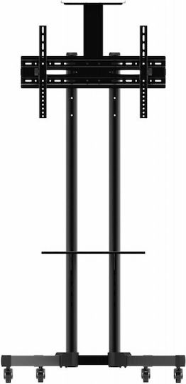 Serioux Βάση Τηλεόρασης Τοίχου έως 70" και 50kg Μαύρο