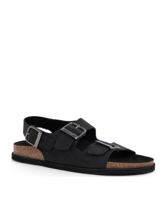 Scholl