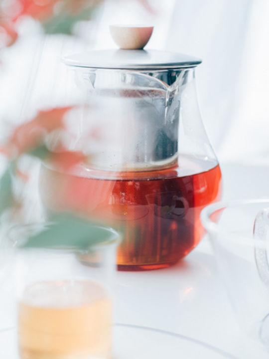 Hario Tea Pitcher Tea Teekanne mit Filter Glas Transparente 700ml