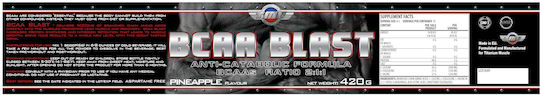 Titanium Muscle Usa BCAAs 420gr Καρπούζι