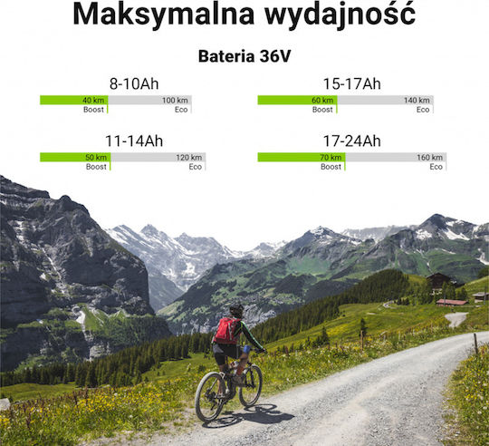 Green Cell Akku E-Bike Ladegerät 36v 20ah 720wh Li-ion Rca
