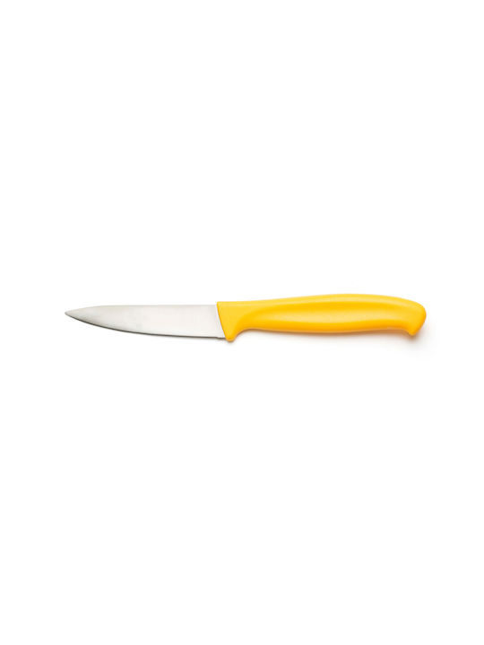 Comas Messer Obst aus rostfreiem Stahl 20cm