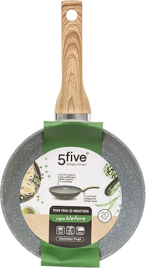 Secret de Gourmet Pan aus Aluminium mit Antihaftbeschichtung 20cm