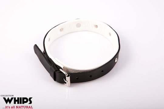 Whips Collections Guler în Culoare Alb