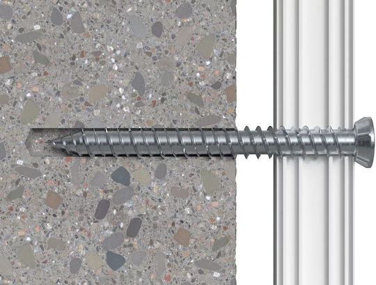 fischer Galvanized Cement Bolts with Diameter M7.5mm 100 Pieces