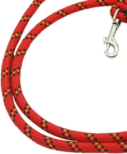 Hundeleine/Führleine Riemen in Rot Farbe
