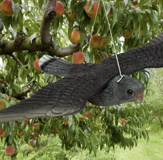 Abschreckungsattrappe Vögel 0.08x0.08m