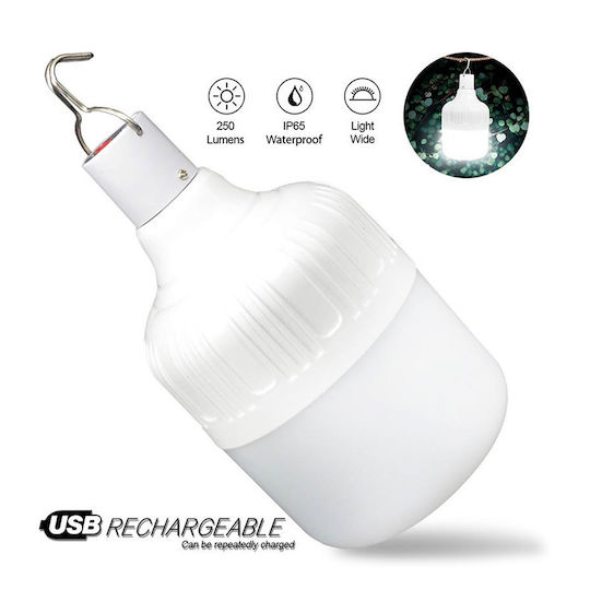 XO LED in White Color 1184