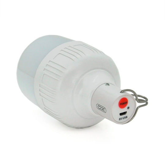 XO LED in White Color 1184