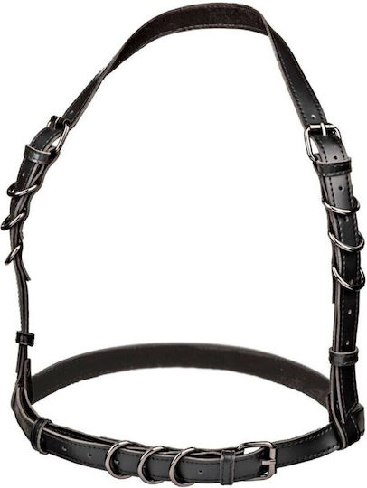 Calexotics Harness Μαύρο