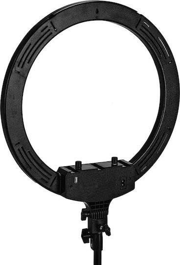 Activeshop RGB Ring Light 45.72cm