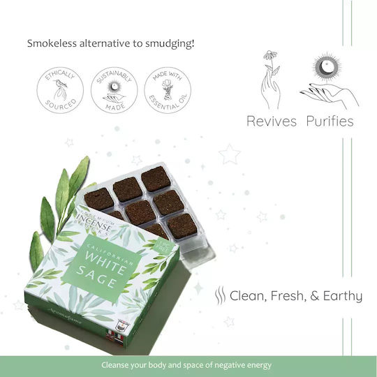 Gift Set Smudge White Sage Καυστήρας Θυμιαμάτων Tree Life + 12 Κύβοι Θυμιάματος