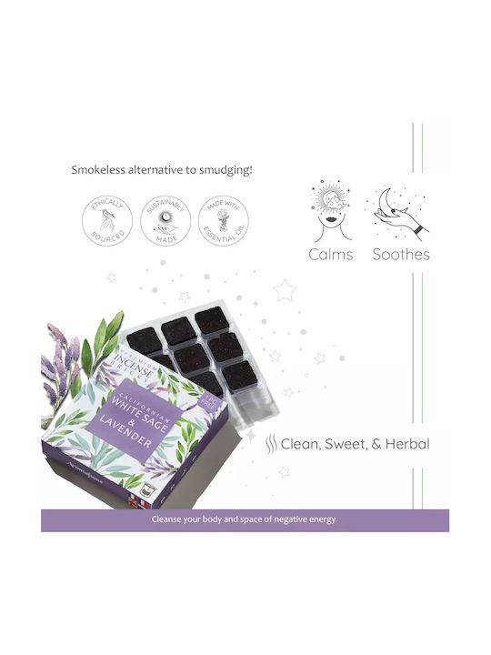 Gift Set Smudge White Sage Καυστήρας Θυμιαμάτων Tree Life + 12 Κύβοι Θυμιάματος