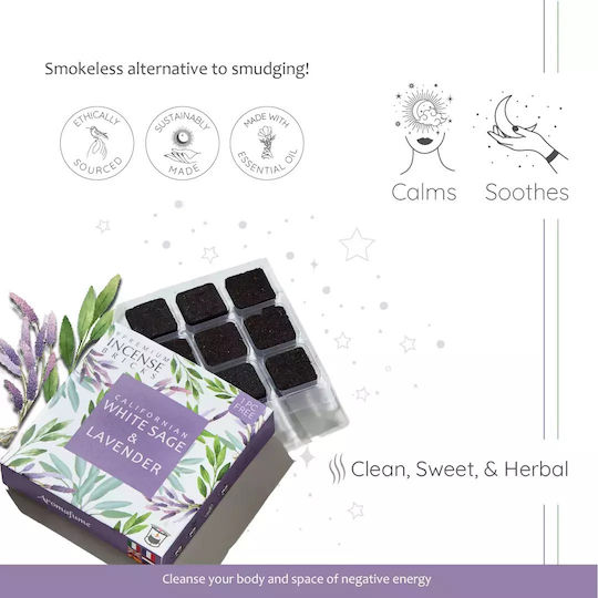 Gift Set Smudge White Sage Καυστήρας Θυμιαμάτων Tree Life + 12 Κύβοι Θυμιάματος