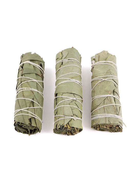 White Sage Eucalyptus Smudge Stick 10χ3cm Σετ 3 Ραβδιά Θυμιάματος