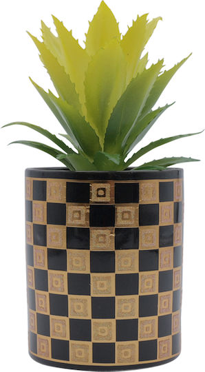 Aloe In Topfpflanze Schwarz 16cm Uncle George
