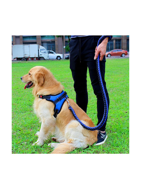 Hundegeschirr Blau Groß ZT1XJ43QWS412BLUE