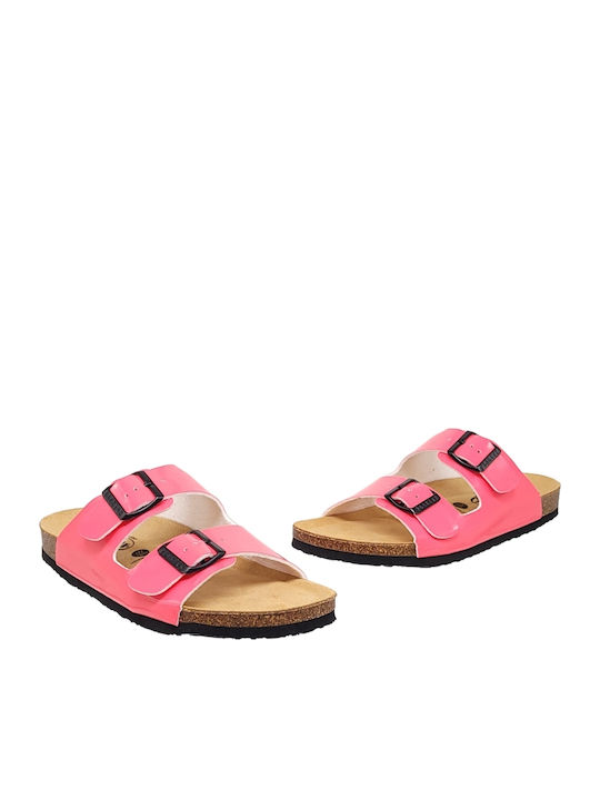 Plakton