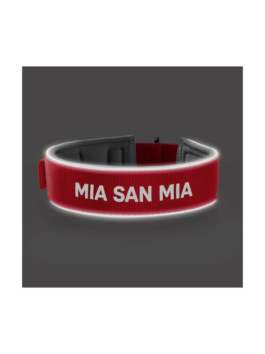 Hunter Reflect Dog Collar in Red color