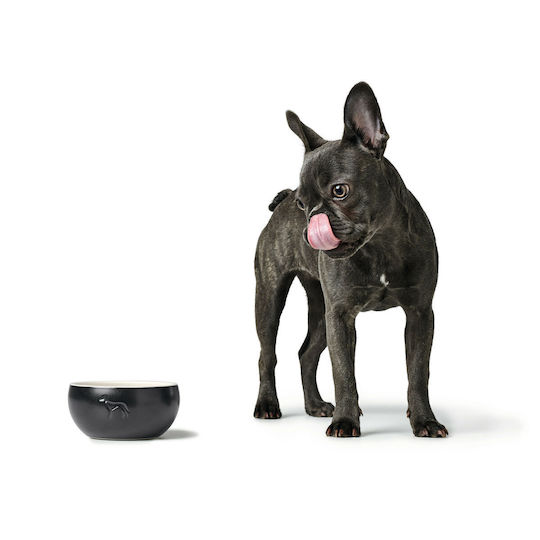 Hunter Ceramic Bowl Food & Water for Dog & Cat 550ml in Black Color