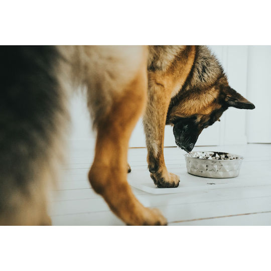 Hunter Silicone Food and Water Bowl for Dog and Cat 350ml