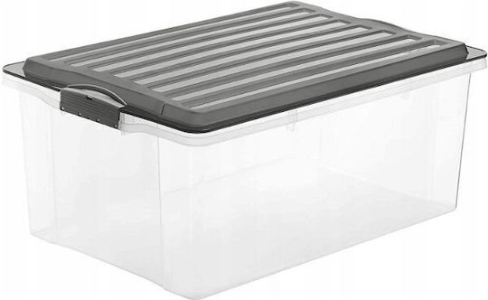 Rotho Babydesign Пластмаса Кутия за съхранение с капак Прозрачен 57x40x25см 1бр
