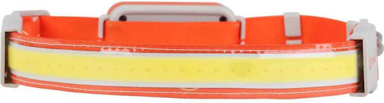 Ledvance Φακός LED IP20 με Μέγιστη Φωτεινότητα 300lm