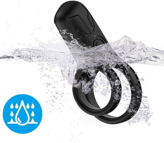 Armony Ring Schwanz Schwarz