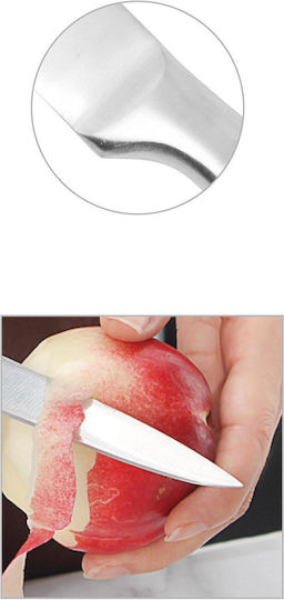 Tpster Messer Peeling aus rostfreiem Stahl 21cm
