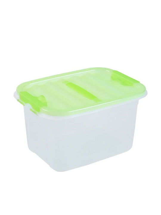Homeplast Plastic Cutie de Depozitare cu Capac Roz 33x25x19cm 1buc