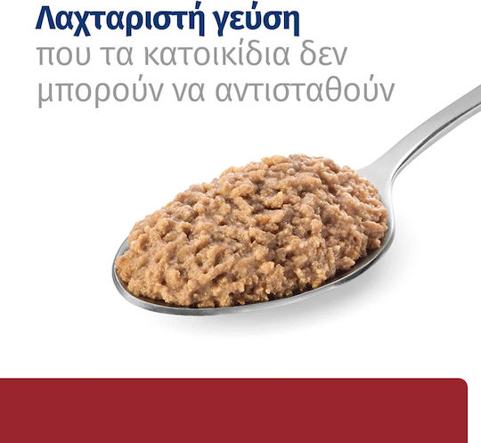 Hill's Feline Wet Cat Food in Cans with Chicken and Pork Diet 156gr