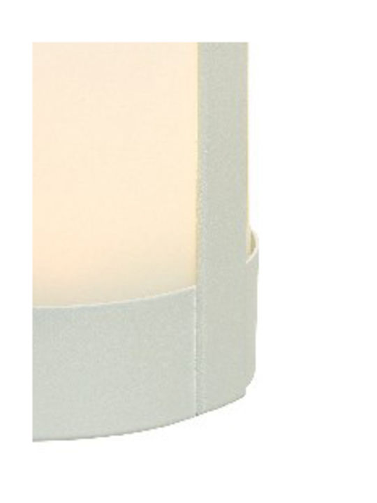 Kaemingk Felinar Plastic Multicolor 13x13x13buc 1buc