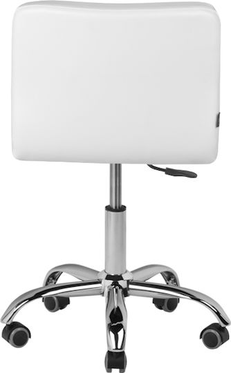 Salon Stools Scaun