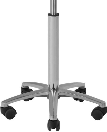 Salon Stools Scaun