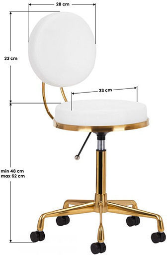 Salon Stools Wheeled Stool with Backrest White