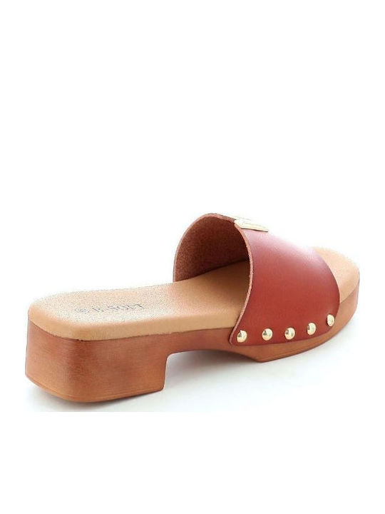 Mules with Chunky Low Heel in Brown Color