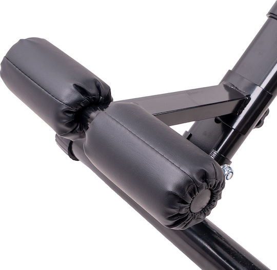 inSPORTline Adjustable General Use / Abdominal Workout Bench