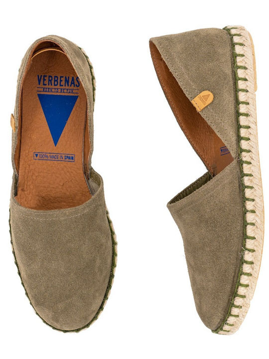 Verbenas