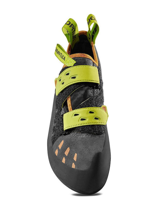 La Sportiva Tarantula Unisex Neutral Climbing Shoes Green