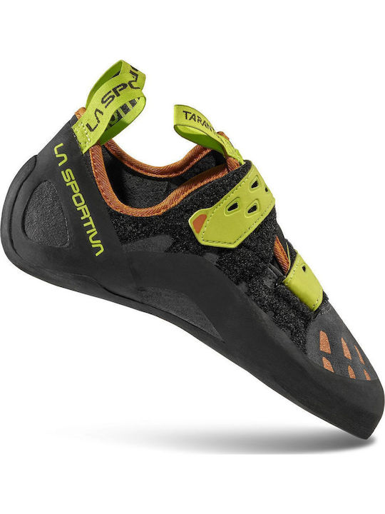 La Sportiva Tarantula Unisex Neutral Climbing Shoes Green