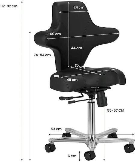 Salon Stools Scaun