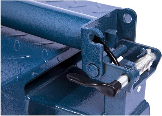 Steinberg Systems Balanță cu Coloană cu Capacitate de Cântărire 100kg