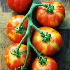 Tomato Tigerella 0.3g Seeds